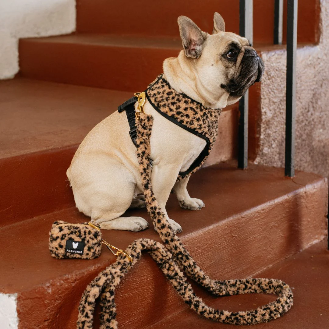 Frenchie Comfort Leash - Teddy Leopard - Image 8