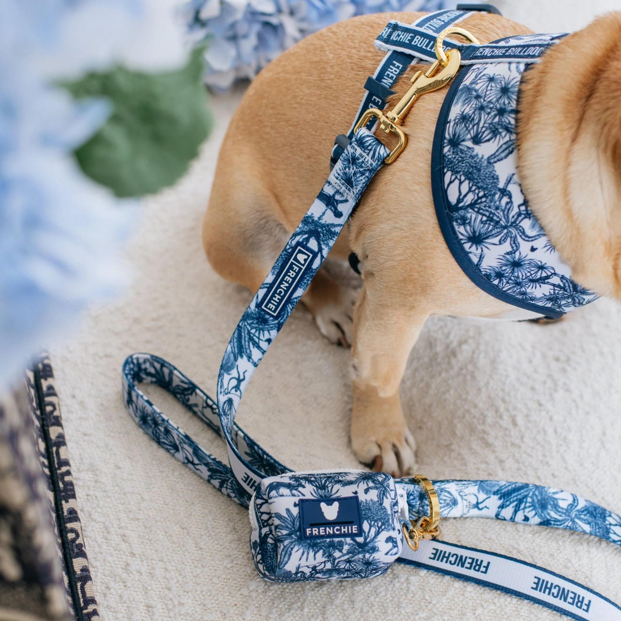 Frenchie Comfort Leash - Toile (Blue) - Image 4