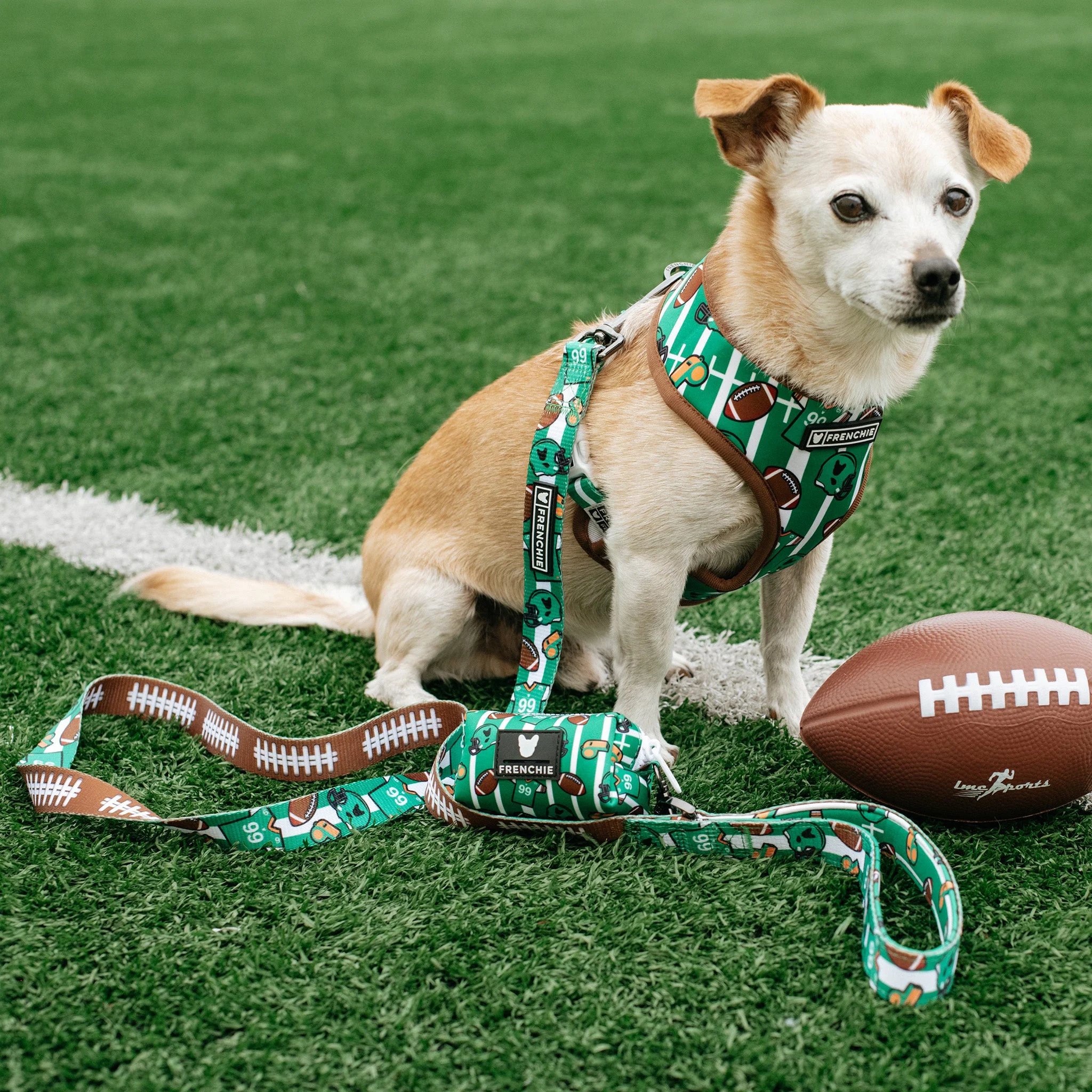 Frenchie Comfort Leash - Touchdown - Image 2
