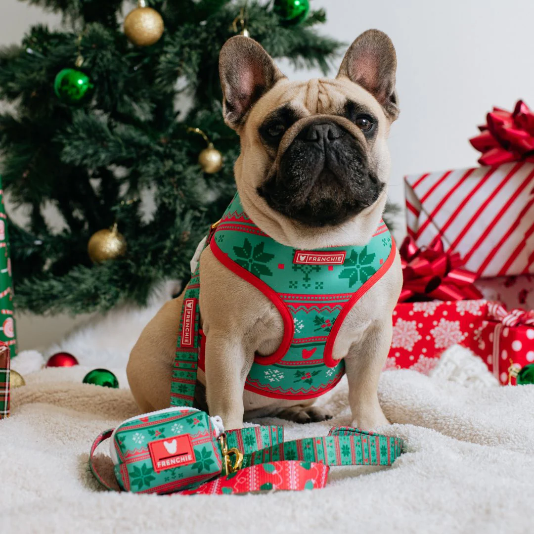 Frenchie Comfort Leash - Ugly Sweater - Image 3