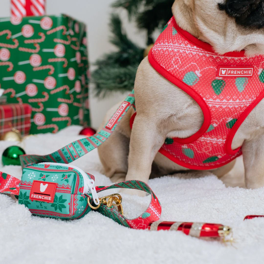 Frenchie Comfort Leash - Ugly Sweater - Image 7
