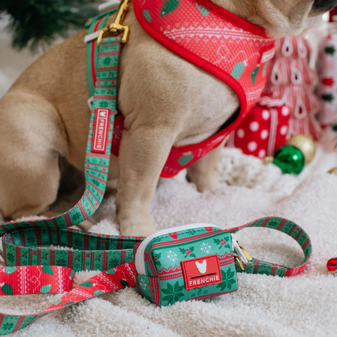 Frenchie Comfort Leash - Ugly Sweater - Image 8