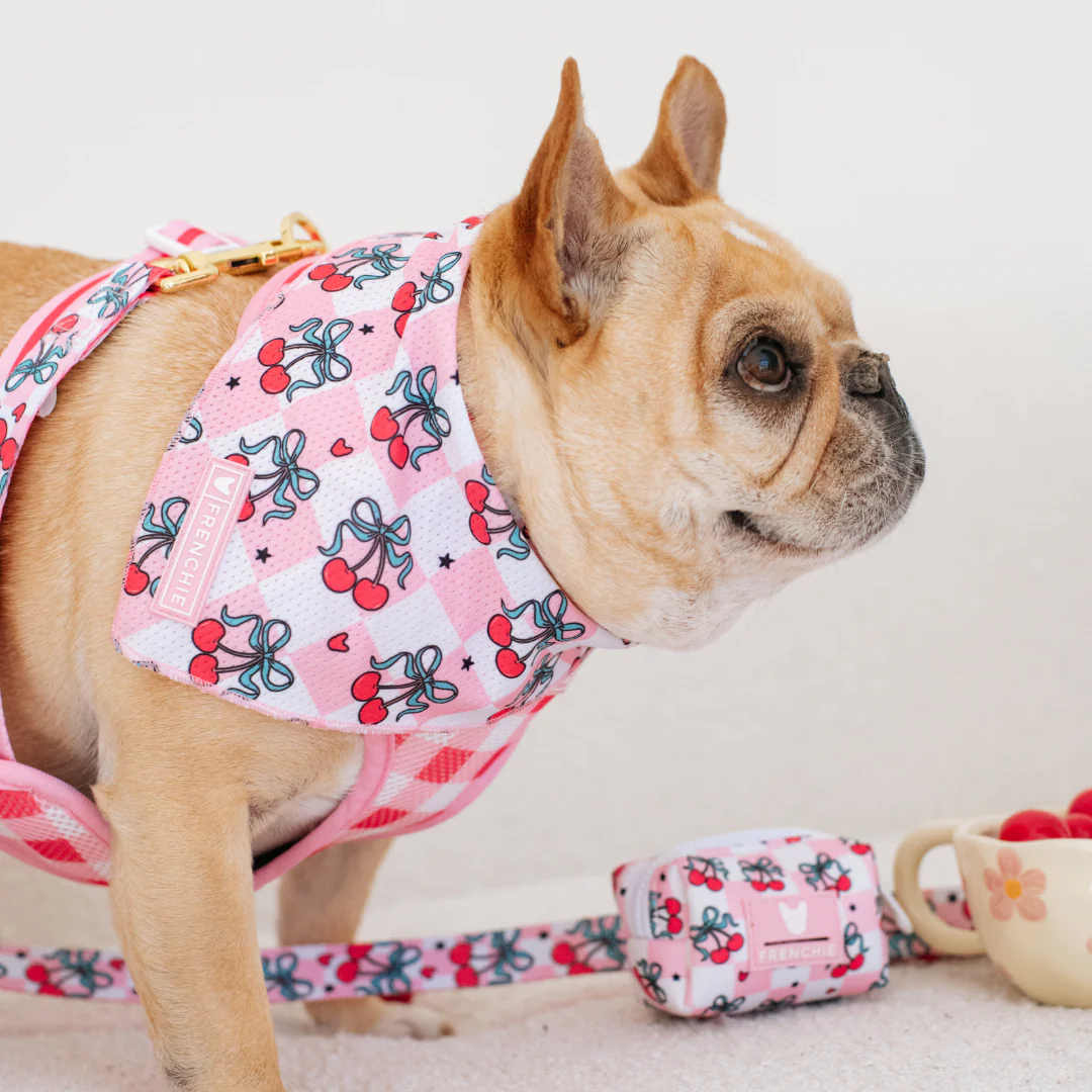 Frenchie Cooling Bandana - Cherries Red - Image 3