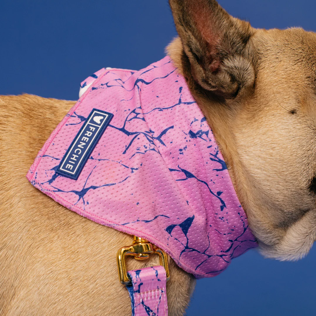 Frenchie Cooling Bandana - Pink Marble - Image 2