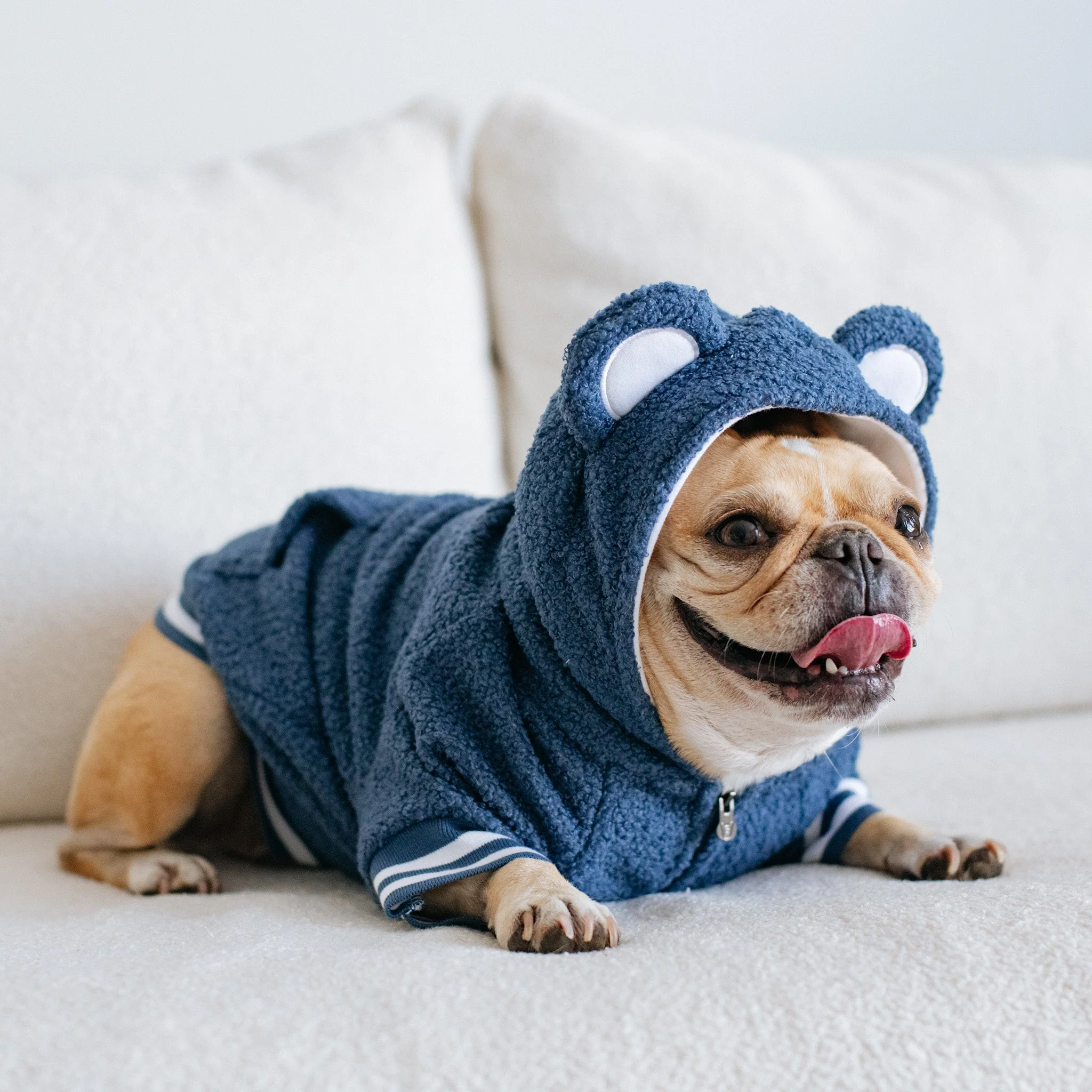 Frenchie Dog Hoodie - Blue Teddy - Image 9