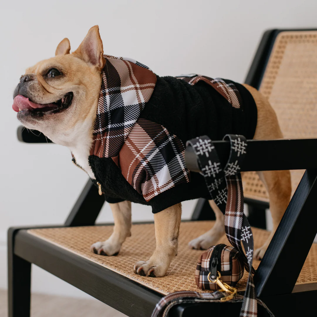 Frenchie Dog Hoodie - Cocoa Plaid - Image 4