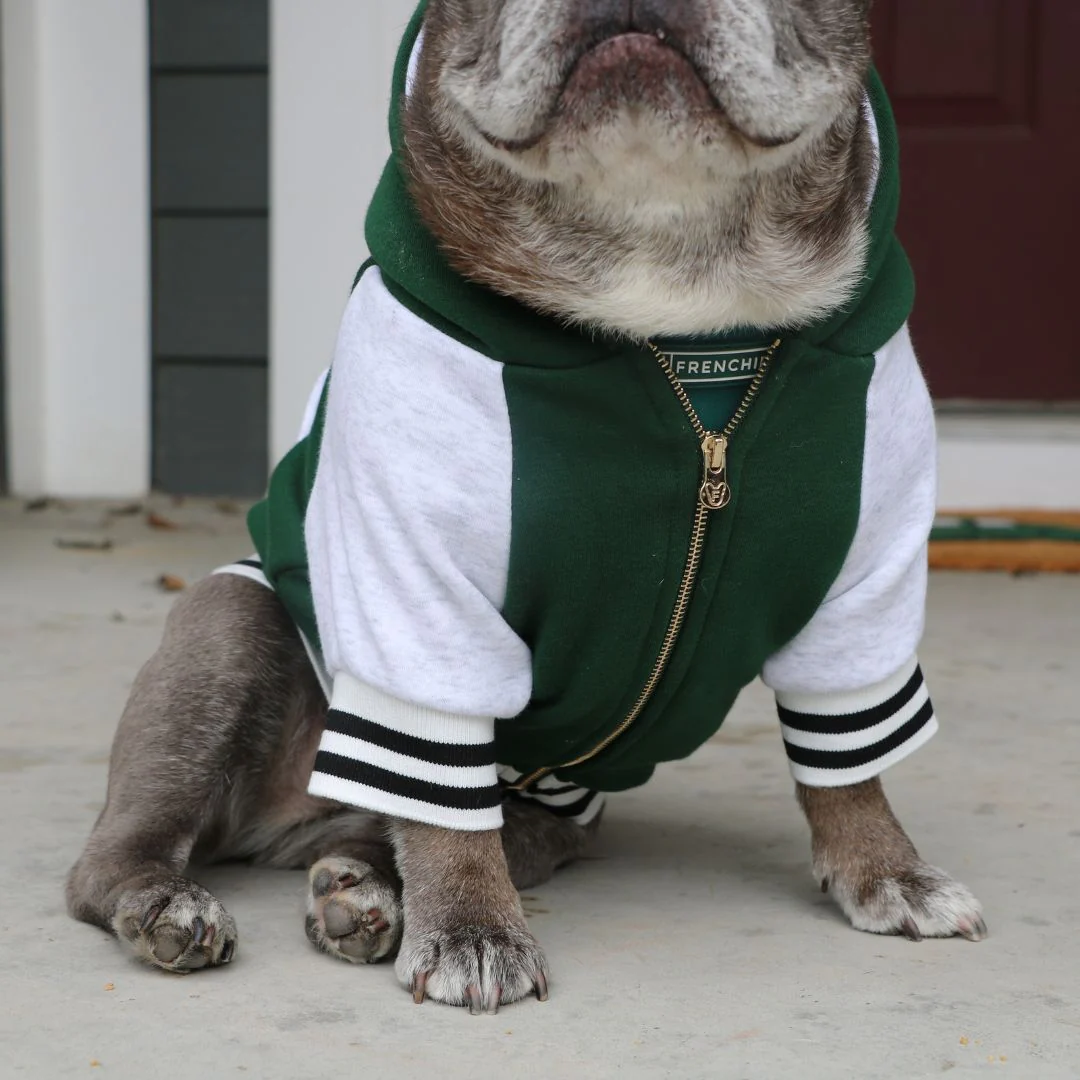 Frenchie Dog Hoodie - Emerald City Varsity - Image 9