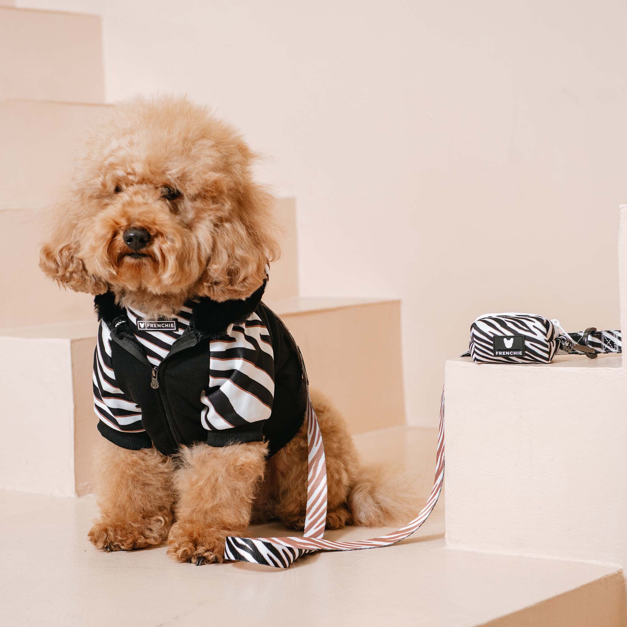 Frenchie Dog Hoodie - Zebra - Image 2