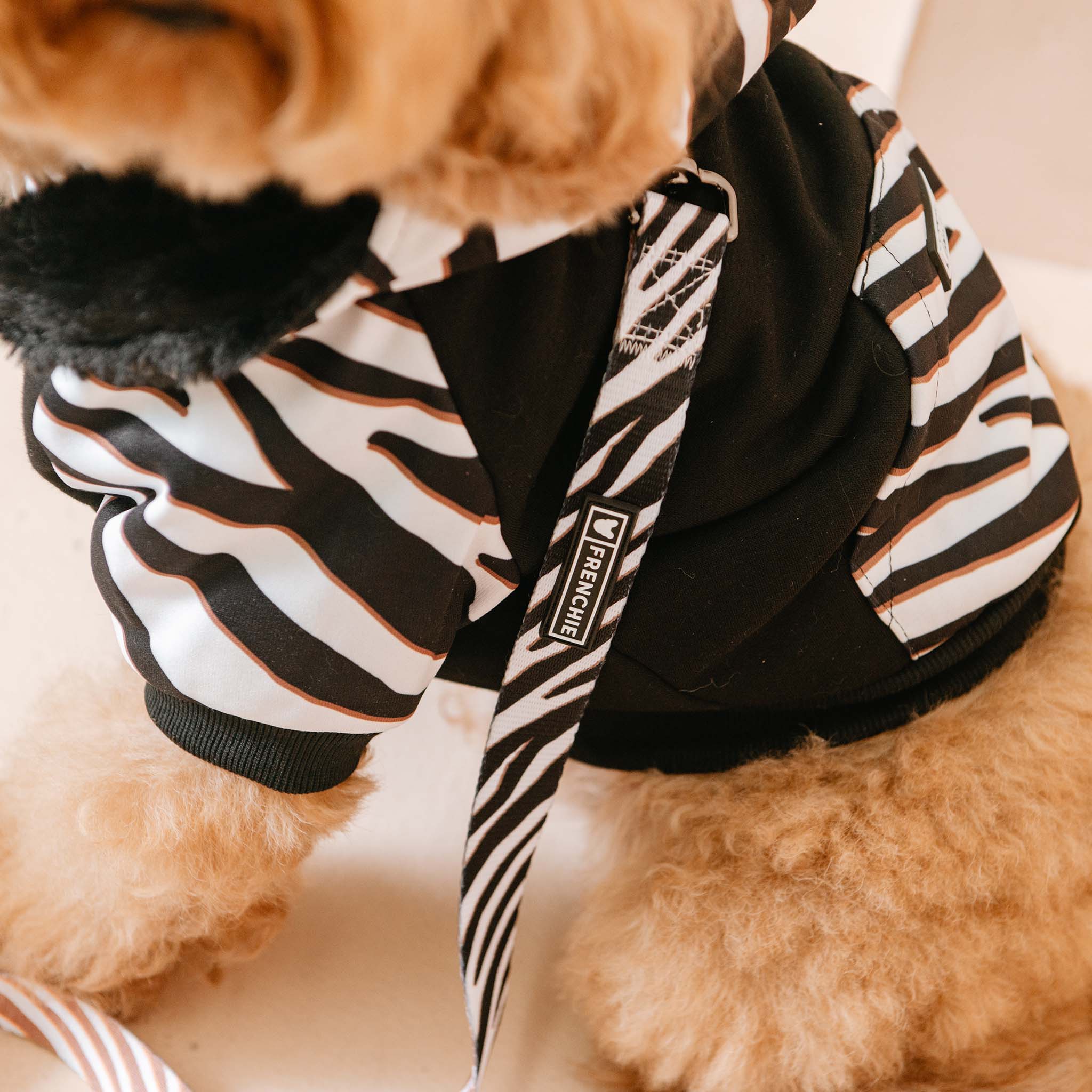 Frenchie Dog Hoodie - Zebra - Image 3