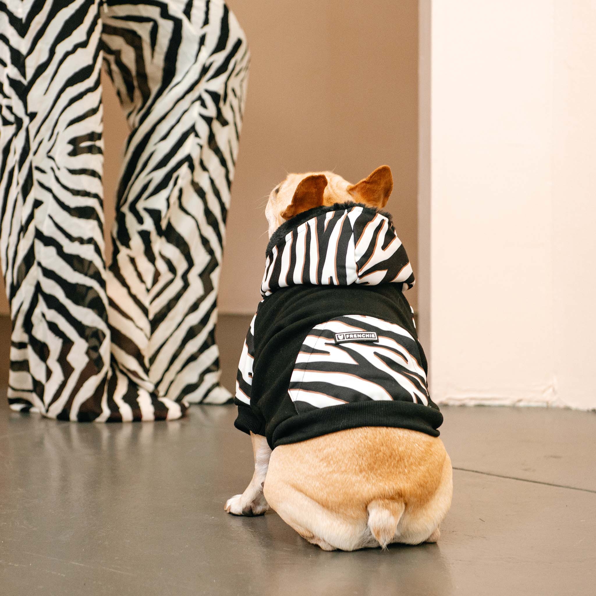 Frenchie Dog Hoodie - Zebra - Image 6