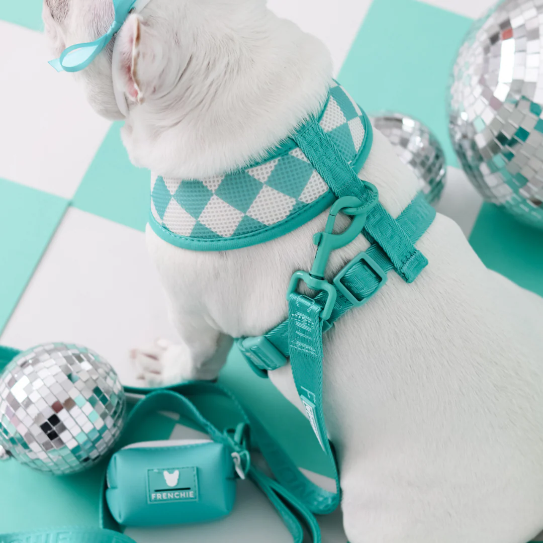 Frenchie Duo Reversible Harness - Aqua - Image 6