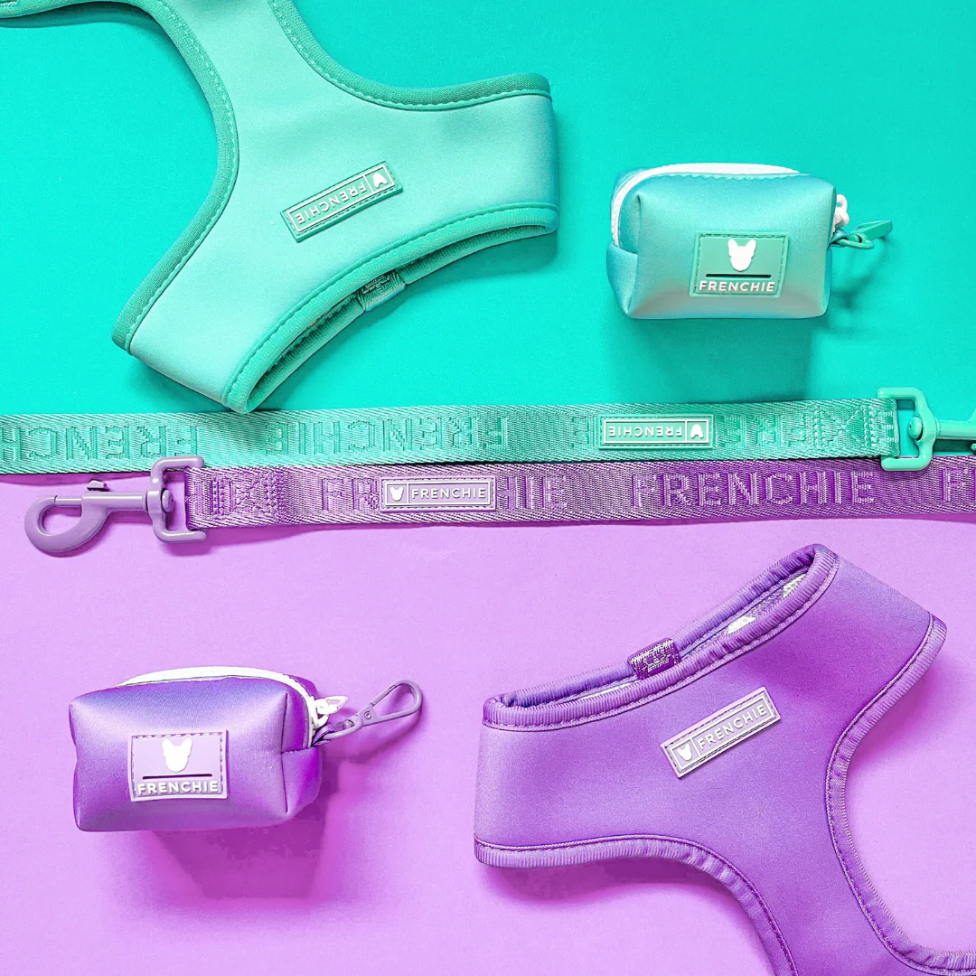 Frenchie Duo Reversible Harness - Aqua - Image 7