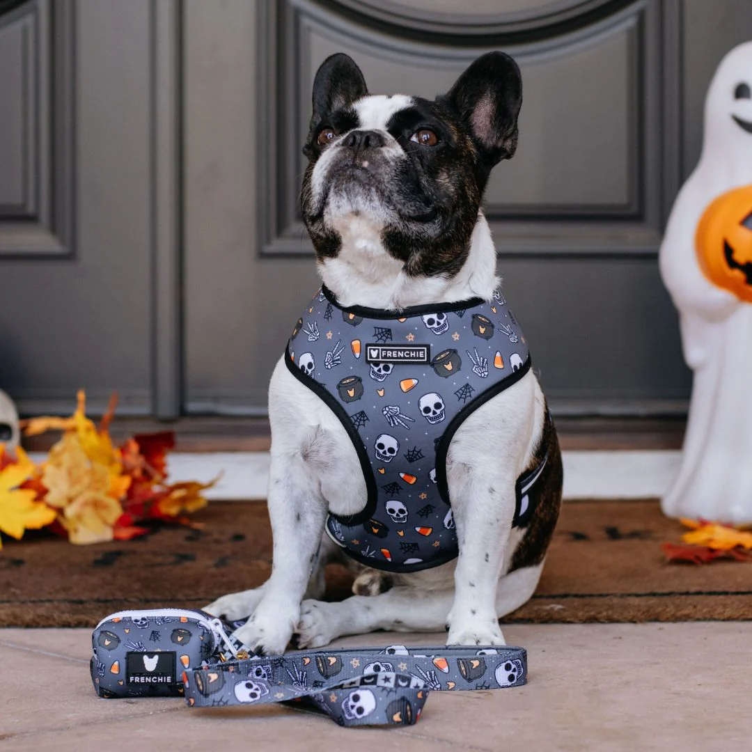 Frenchie Duo Reversible Harness - Black Magic - Image 2