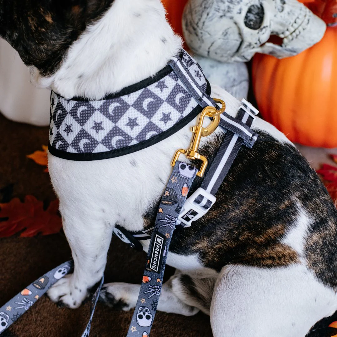 Frenchie Duo Reversible Harness - Black Magic - Image 5