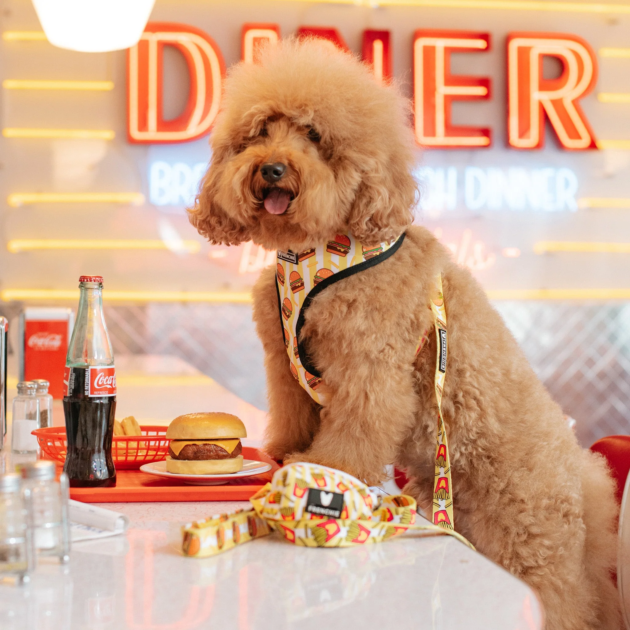 Frenchie Duo Reversible Harness - Burger N Fries - Image 2