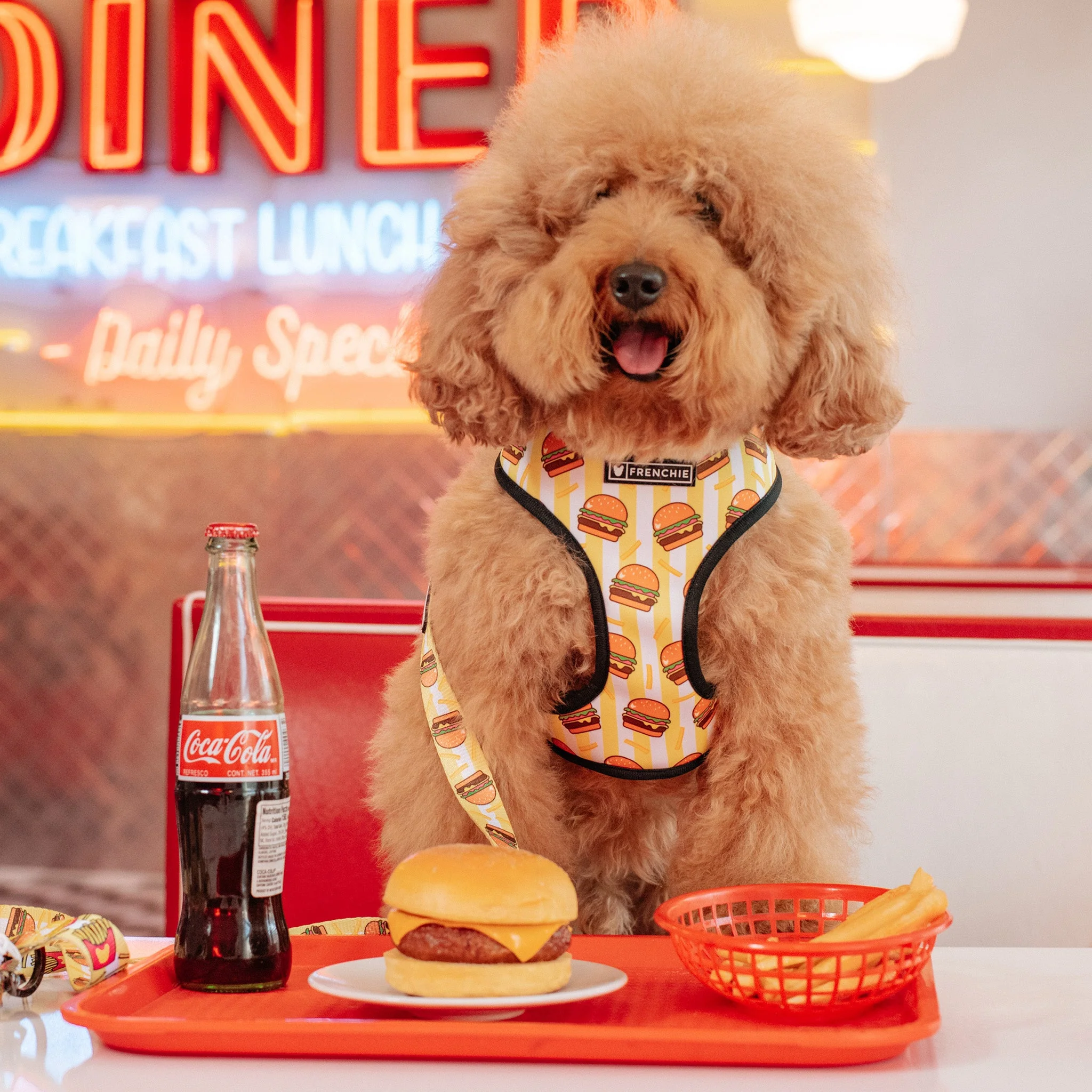 Frenchie Duo Reversible Harness - Burger N Fries - Image 3