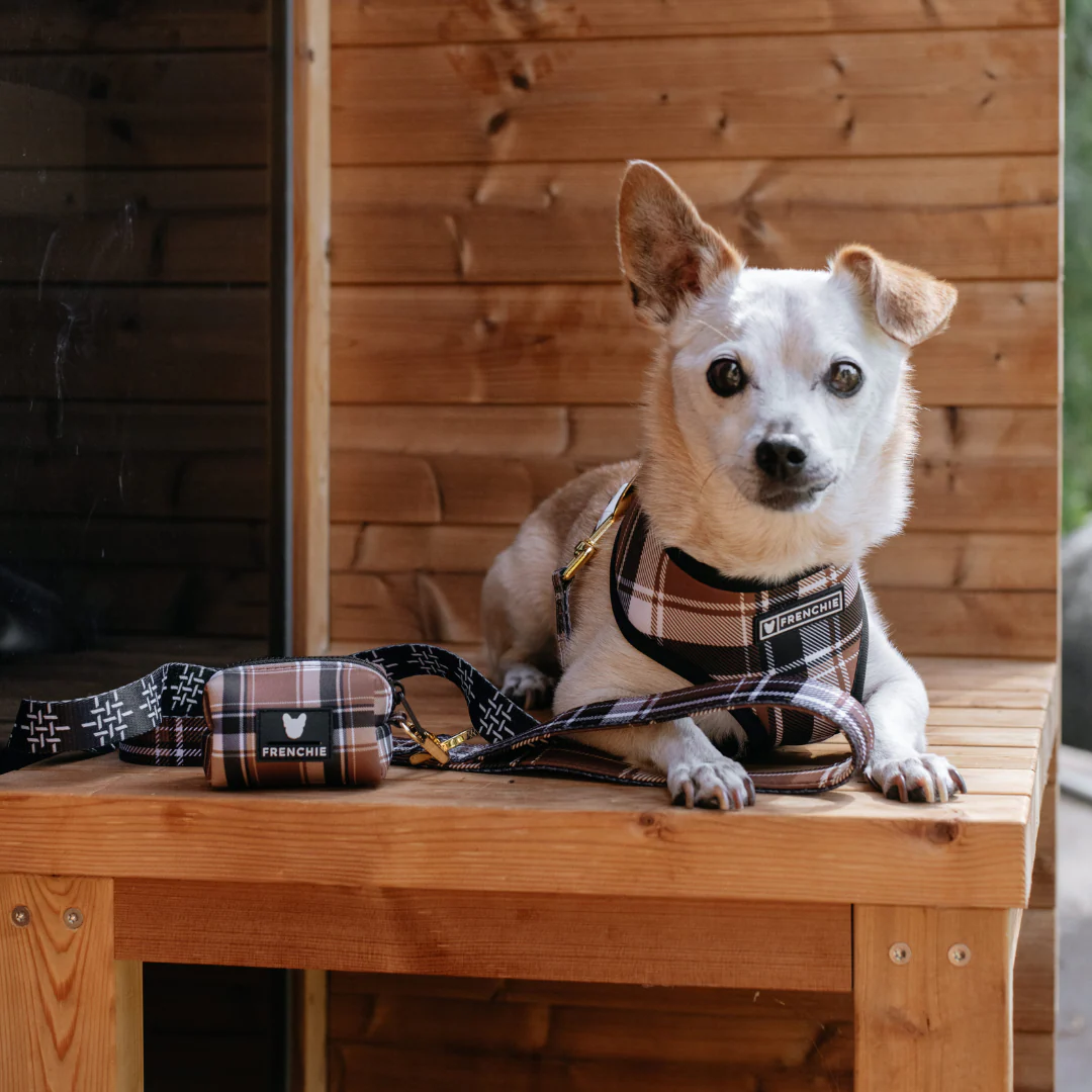 Frenchie Duo Reversible Harness - Cocoa Plaid - Image 4