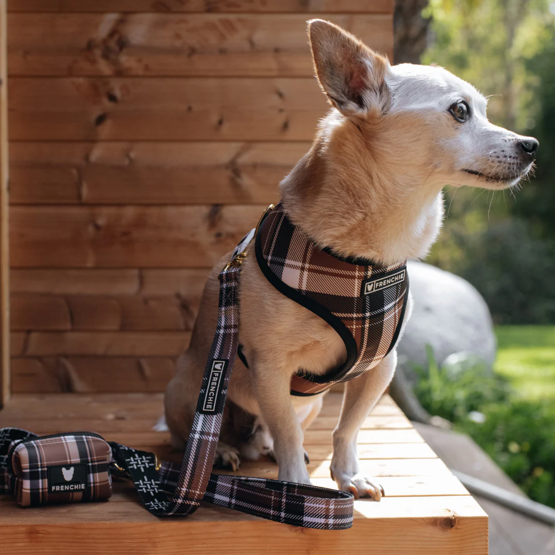 Frenchie Duo Reversible Harness - Cocoa Plaid - Image 7