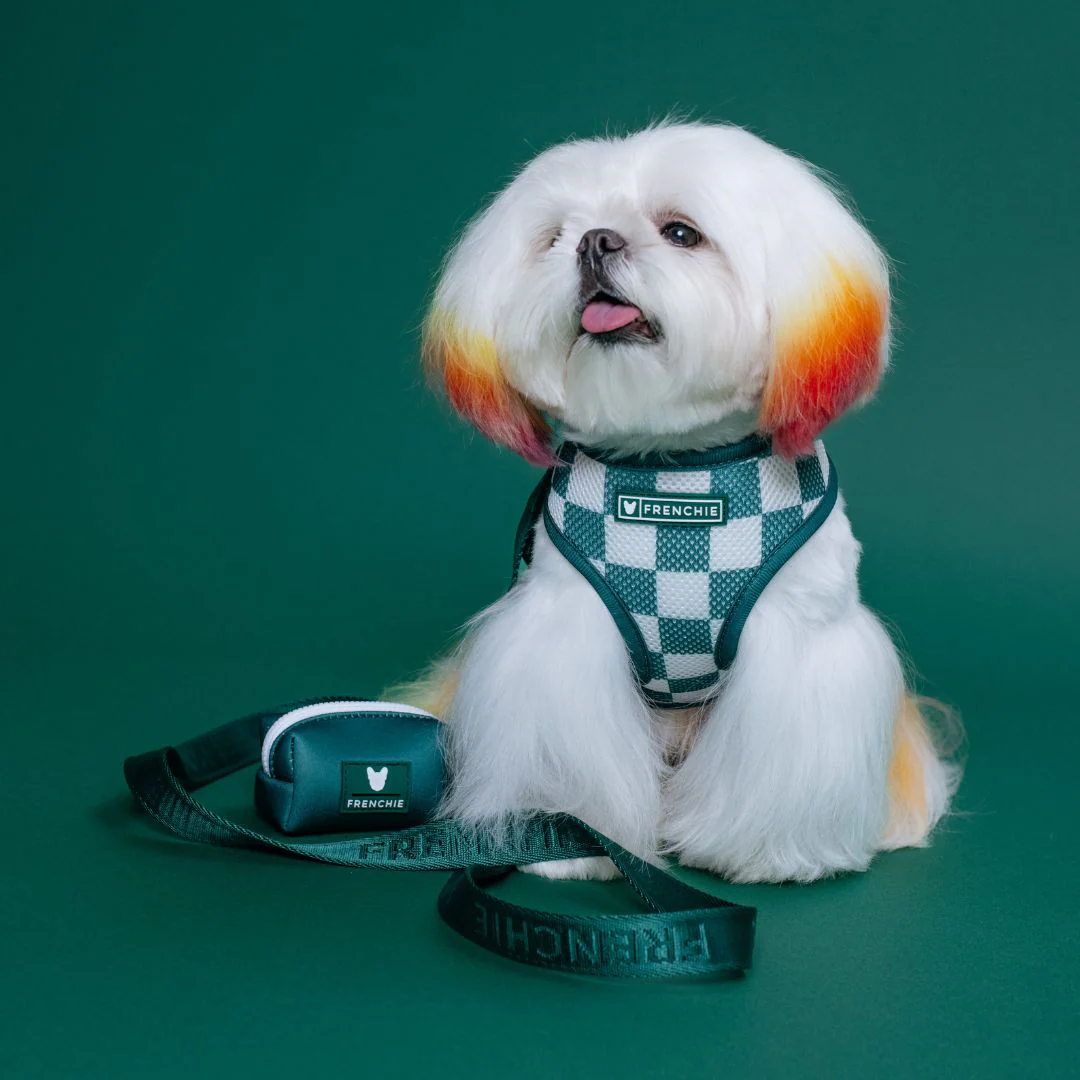 Frenchie Duo Reversible Harness - Emerald City - Image 3