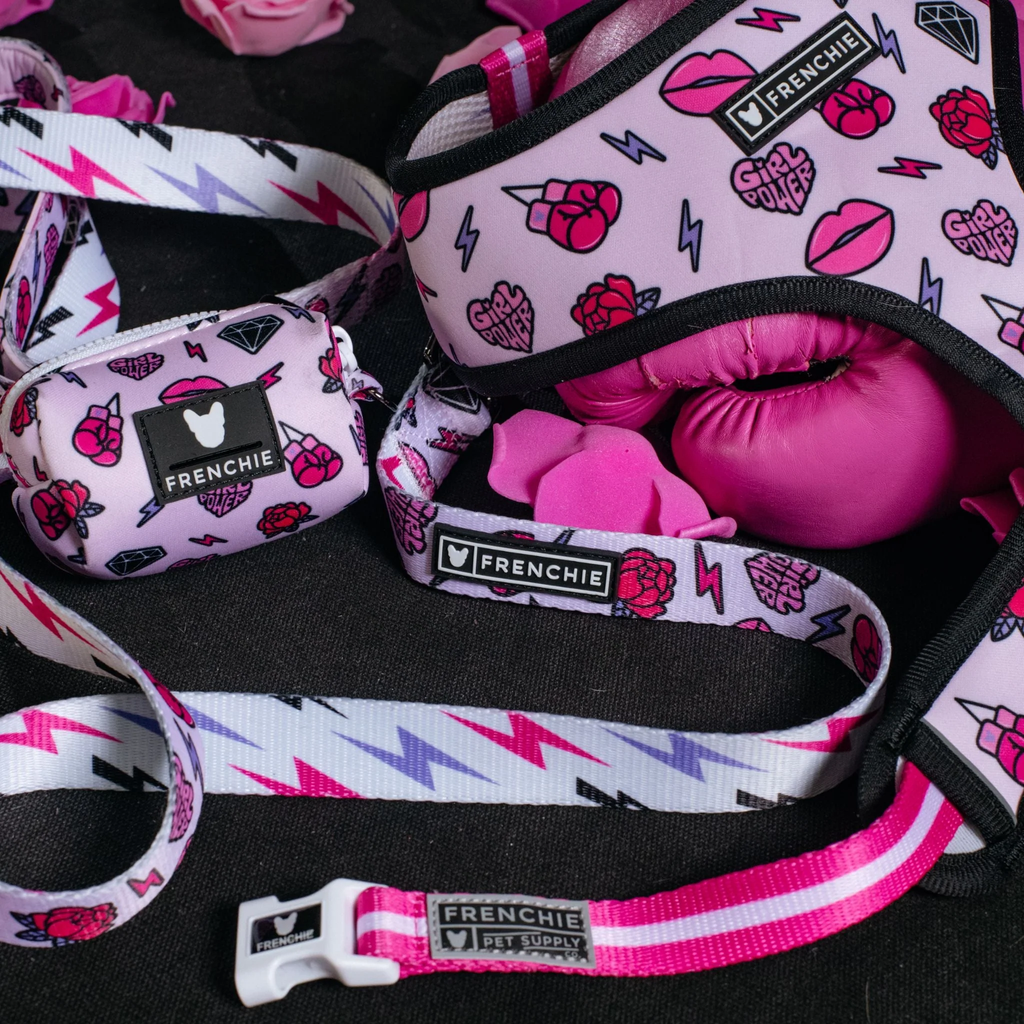 Frenchie Duo Reversible Harness - Girl Power - Image 6