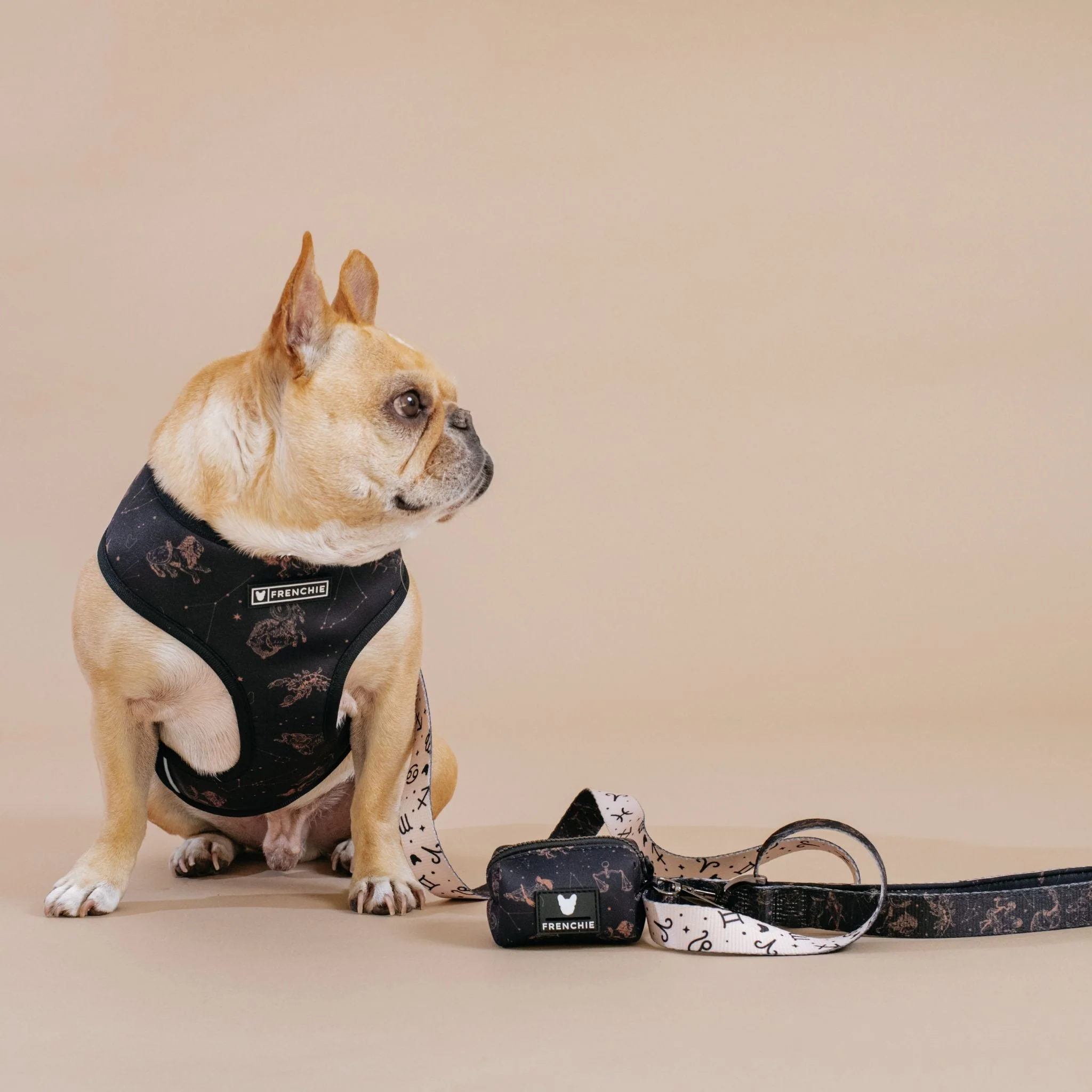 Frenchie Duo Reversible Harness - Horoscope - Image 2