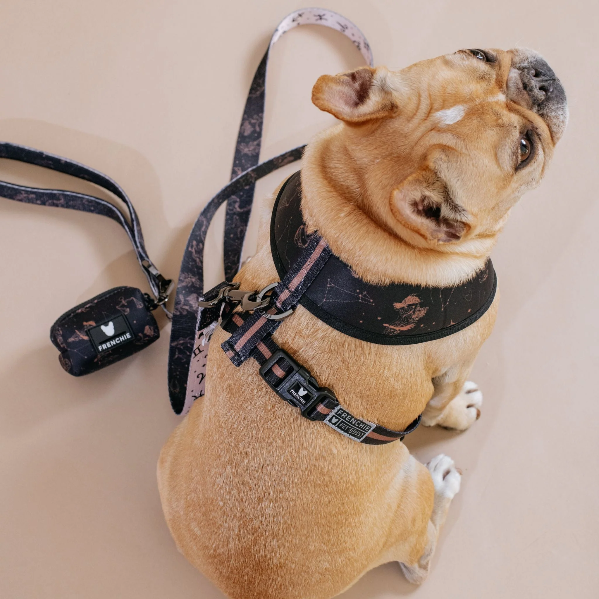 Frenchie Duo Reversible Harness - Horoscope - Image 8