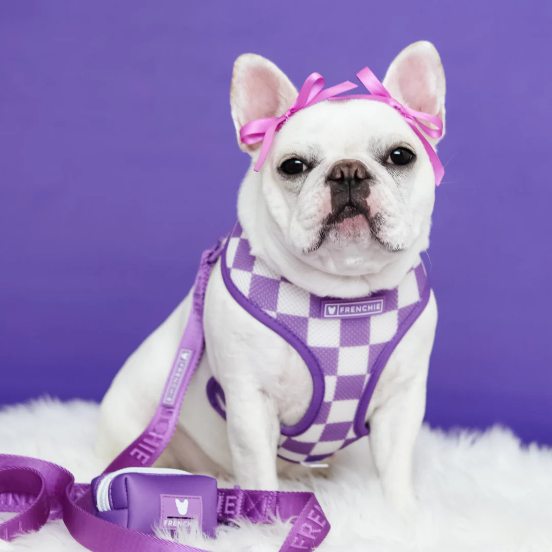Frenchie Duo Reversible Harness - LA Purple - Image 3