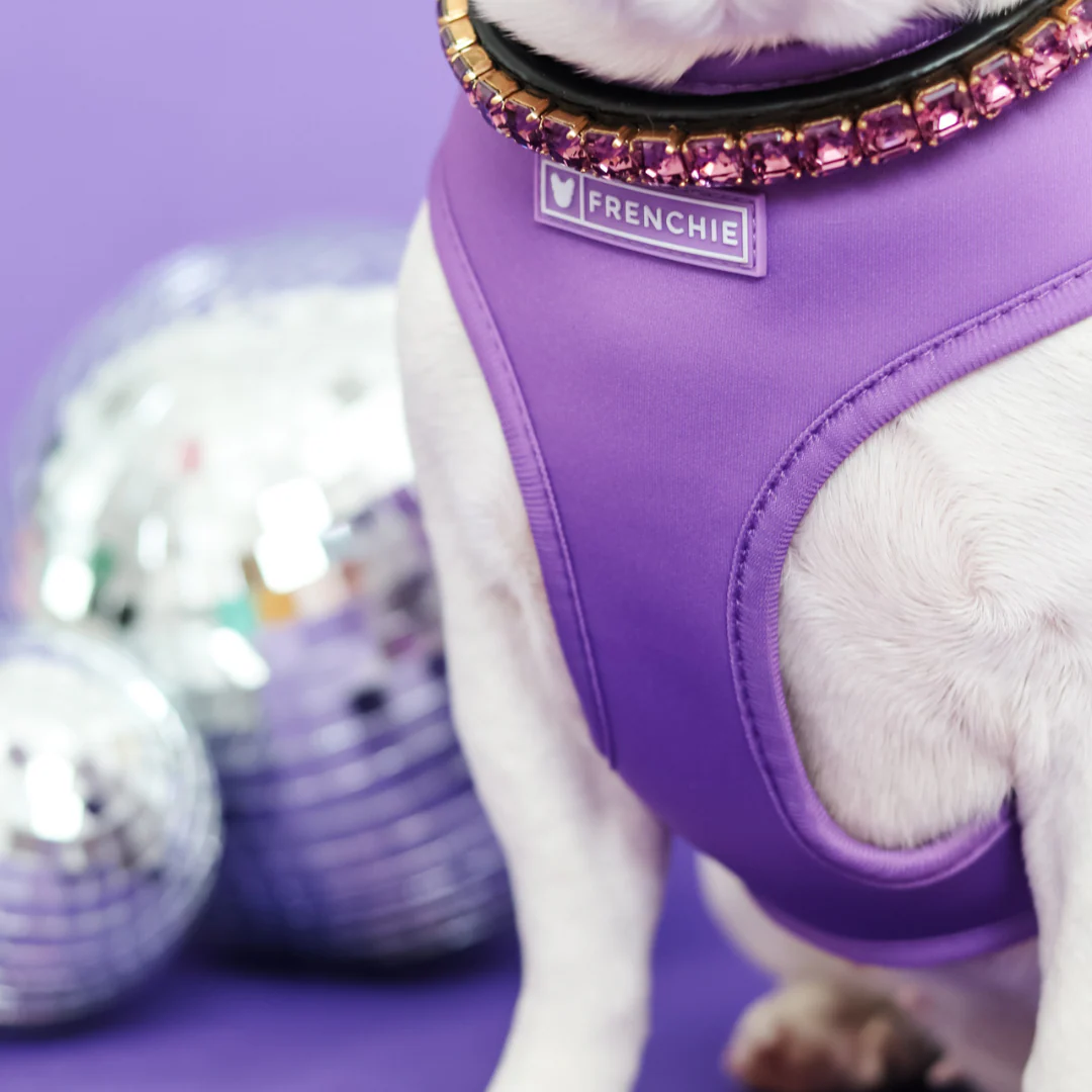 Frenchie Duo Reversible Harness - LA Purple - Image 6