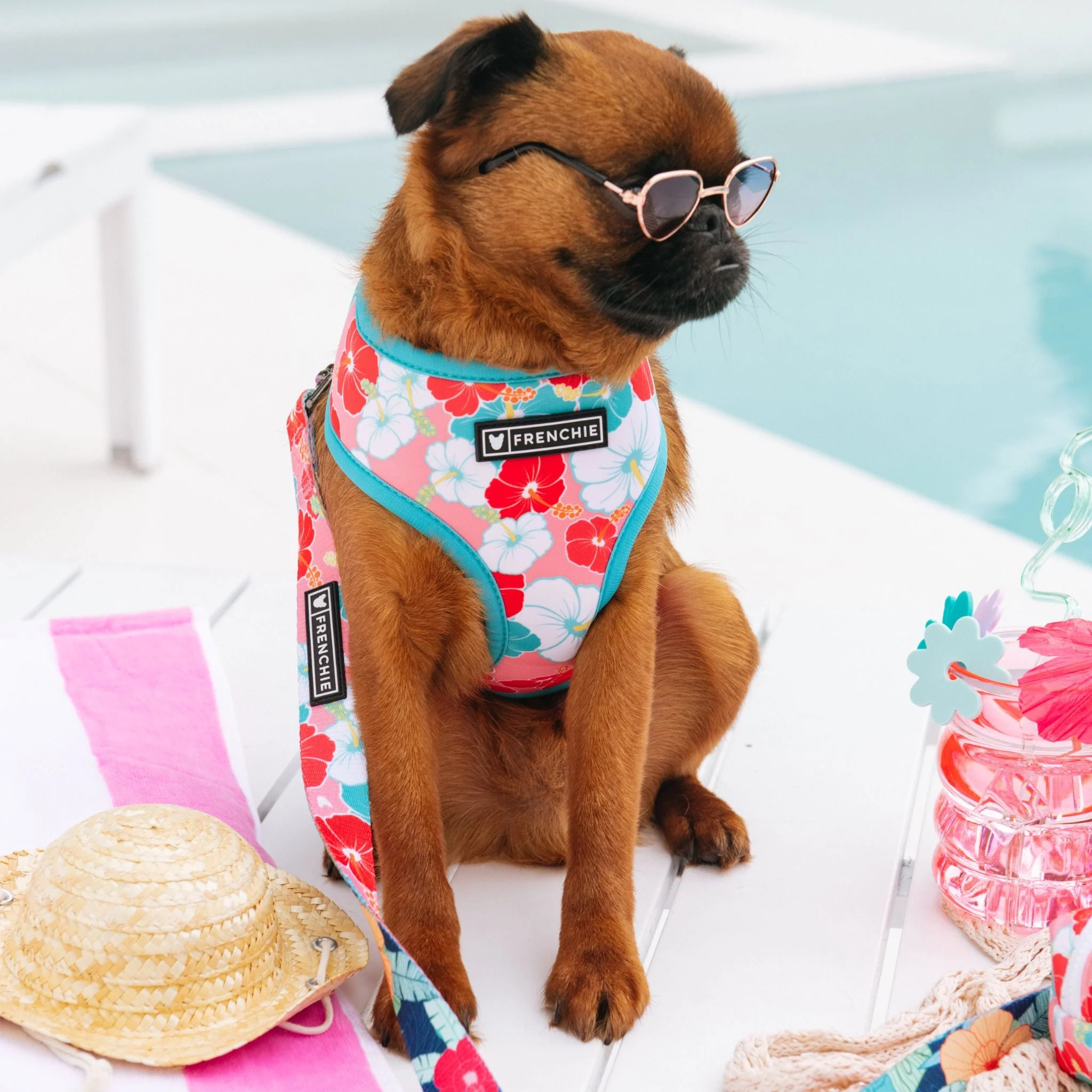 Frenchie Duo Reversible Harness - Paradise - Image 11