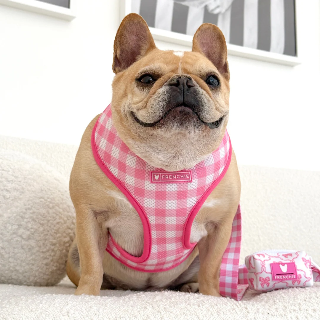 Frenchie Duo Reversible Harness - Pink Bows - Image 6
