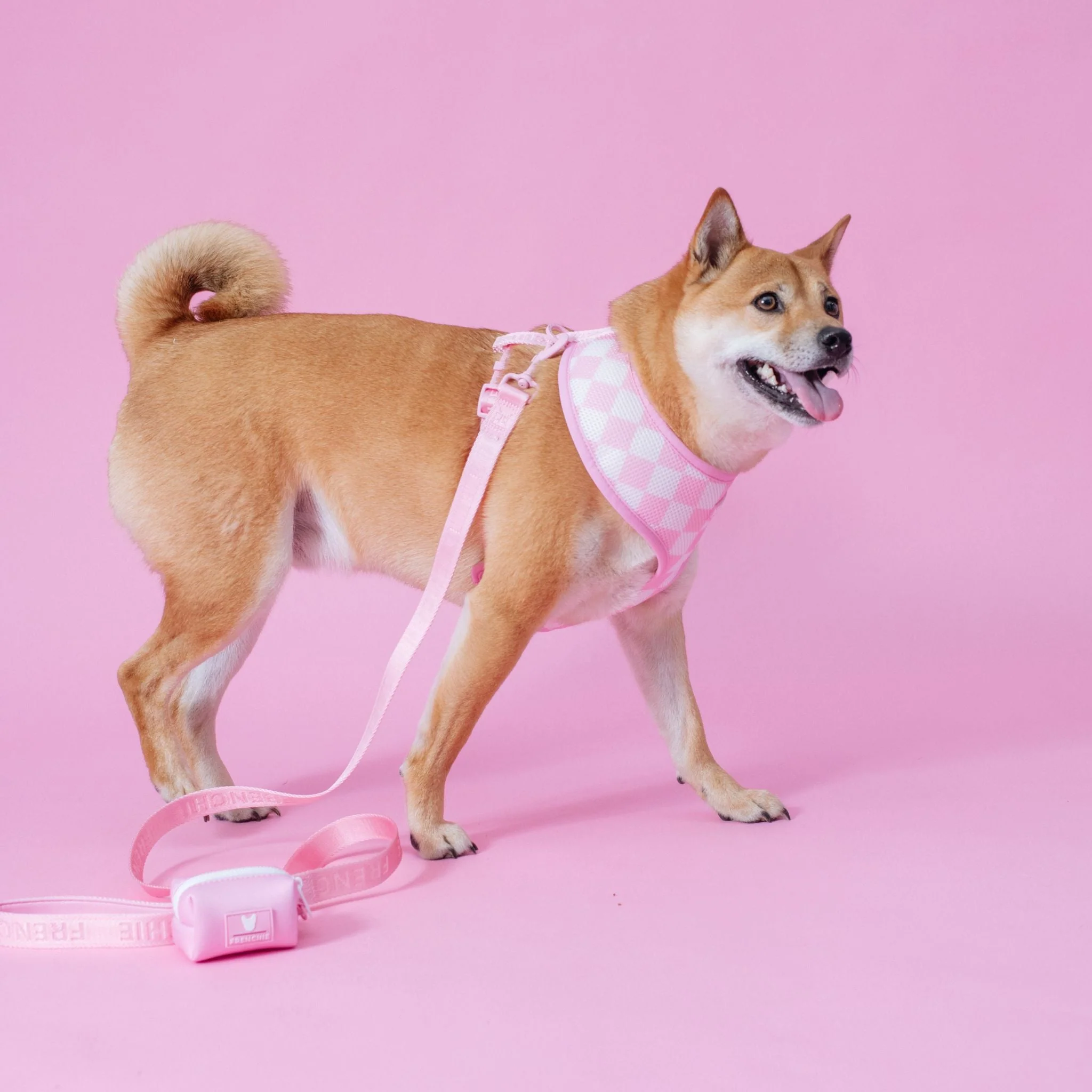 Frenchie Duo Reversible Harness - Pink Bubblegum - Image 7