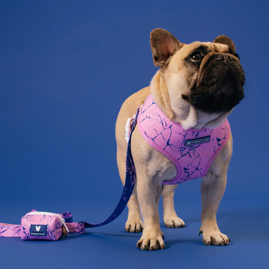 Frenchie Duo Reversible Harness - Pink Marble - Image 2