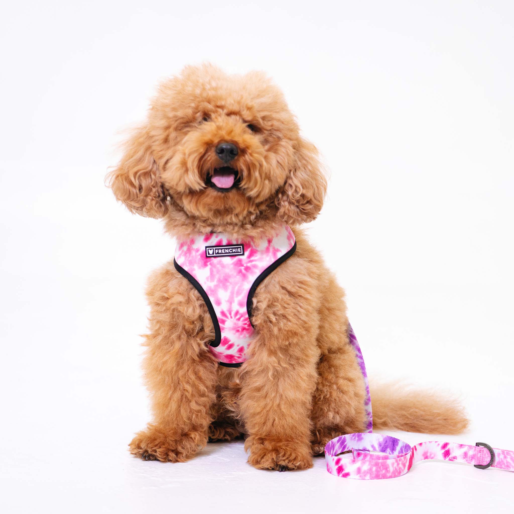 Frenchie Duo Reversible Harness - Pink Tie Dye - Image 2