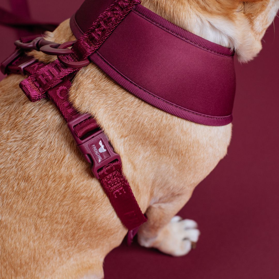 Frenchie Duo Reversible Harness - Ruby - Image 10