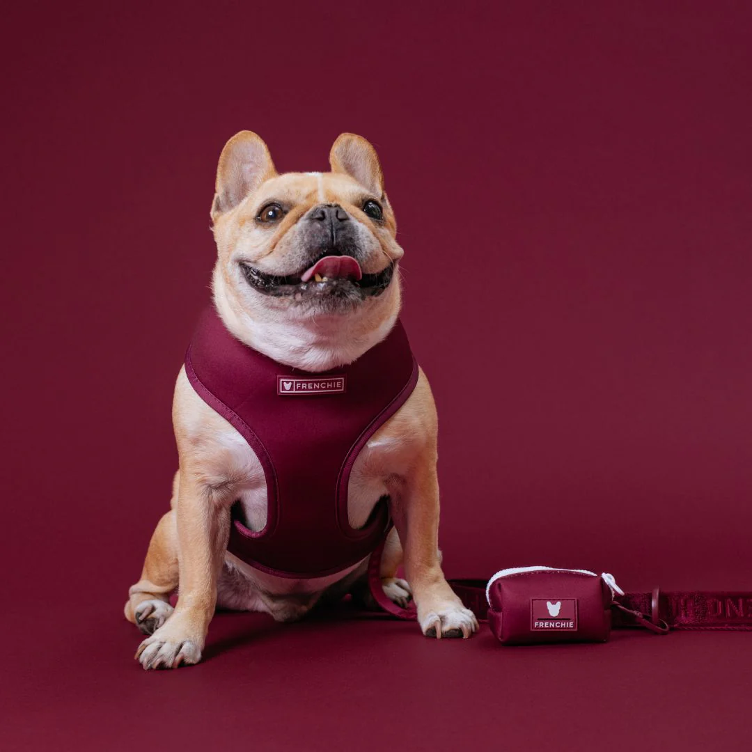 Frenchie Duo Reversible Harness - Ruby - Image 2