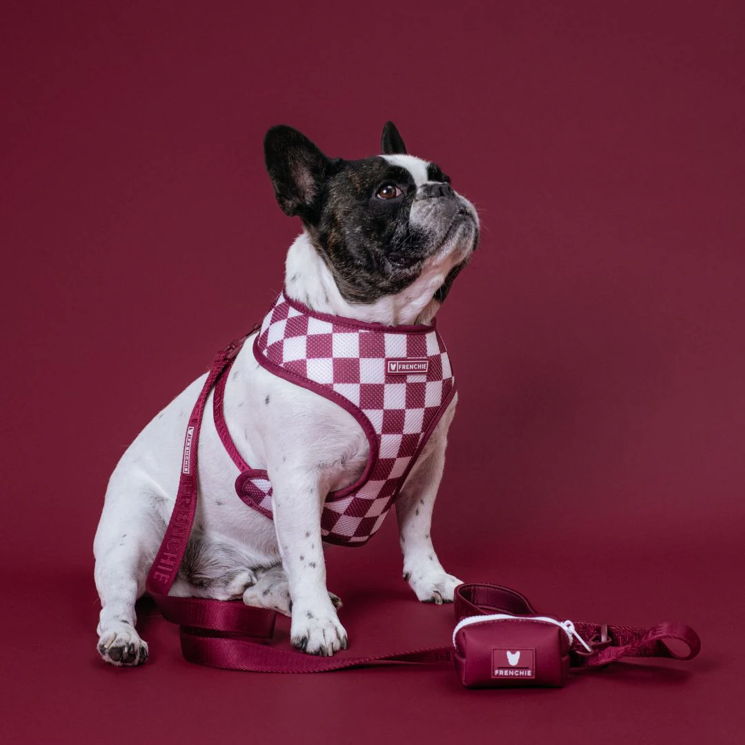 Frenchie Duo Reversible Harness - Ruby - Image 3
