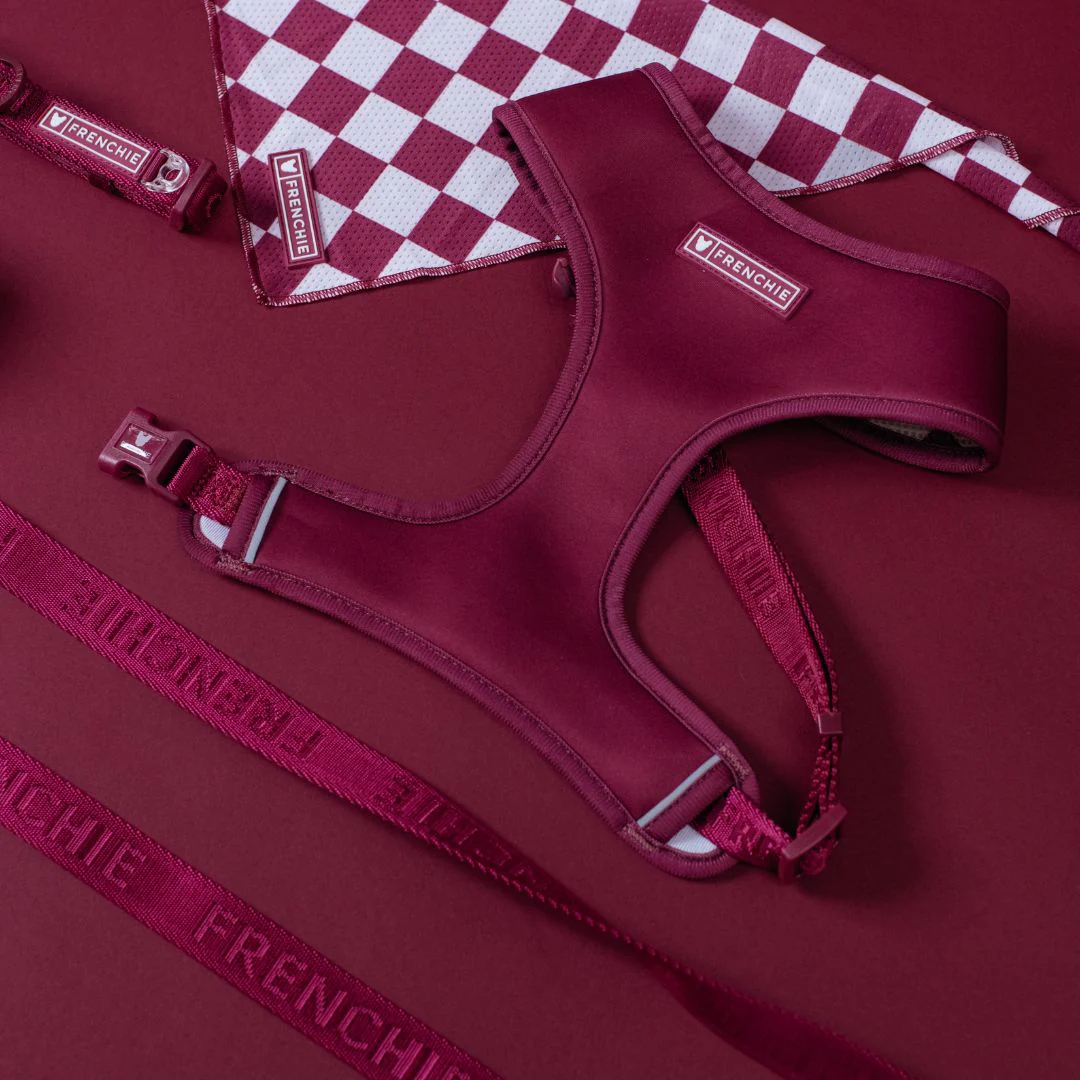 Frenchie Duo Reversible Harness - Ruby - Image 4