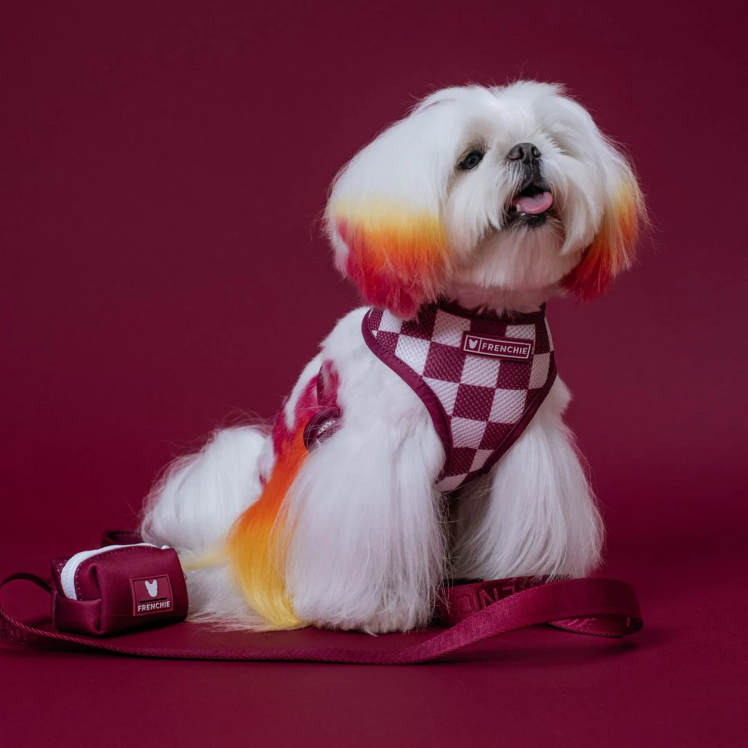 Frenchie Duo Reversible Harness - Ruby - Image 9