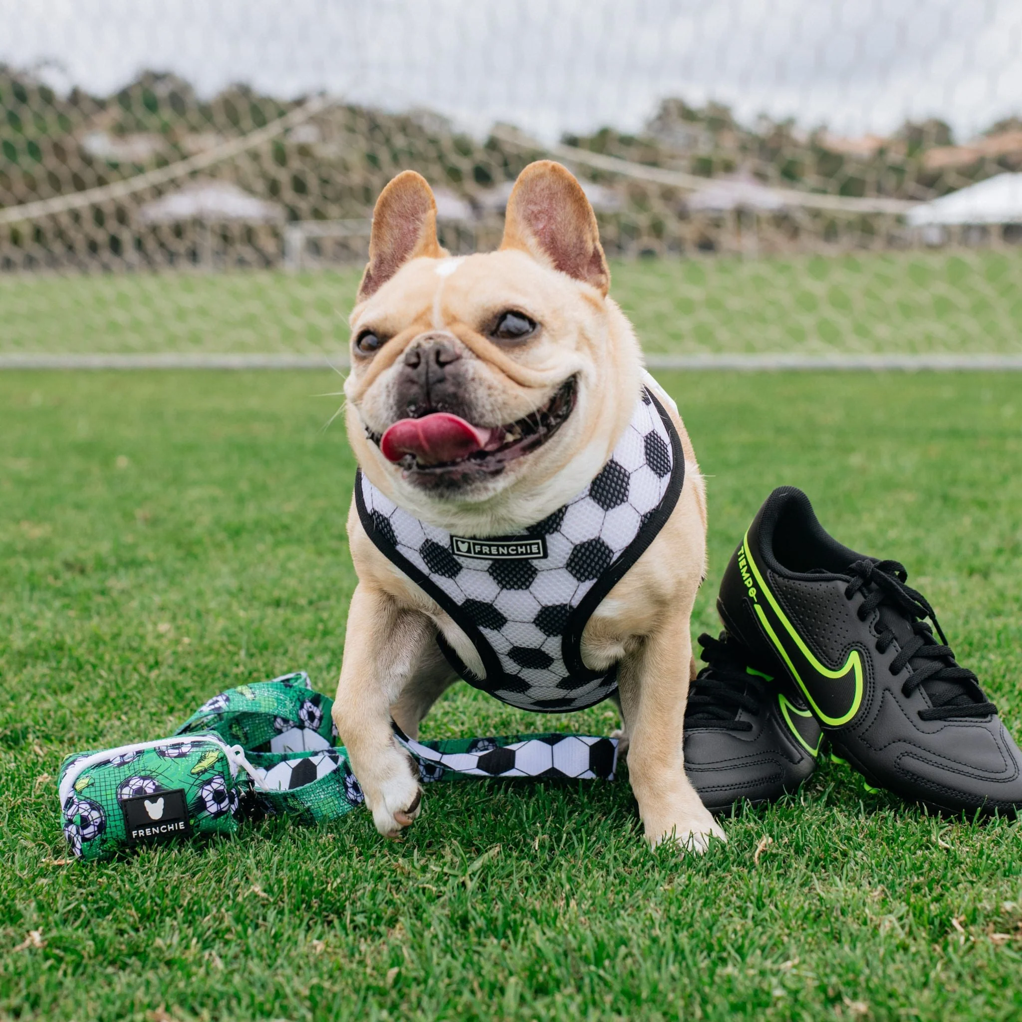 Frenchie Duo Reversible Harness - Soccer - Image 2