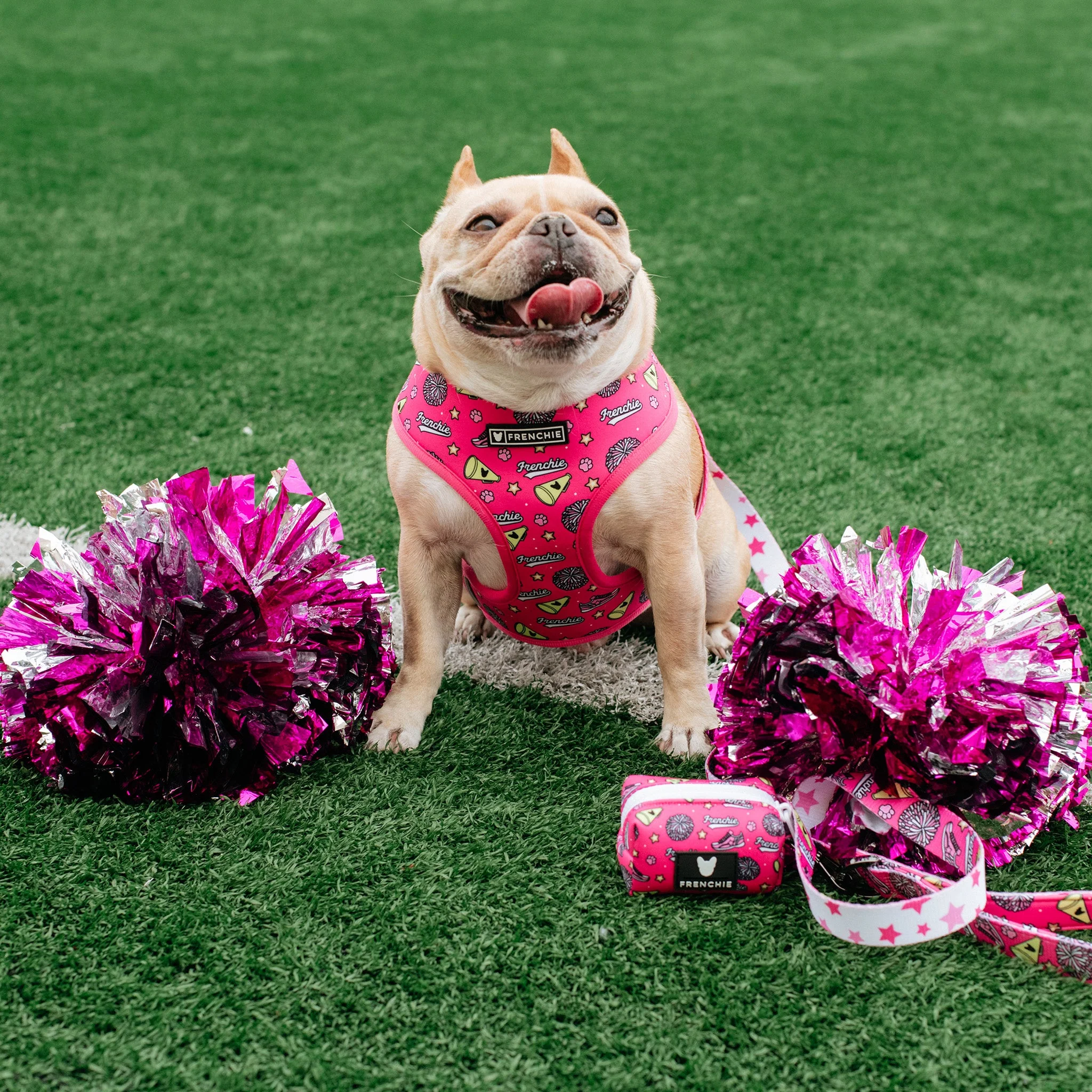 Frenchie Duo Reversible Harness - Spirit Paws - Image 2