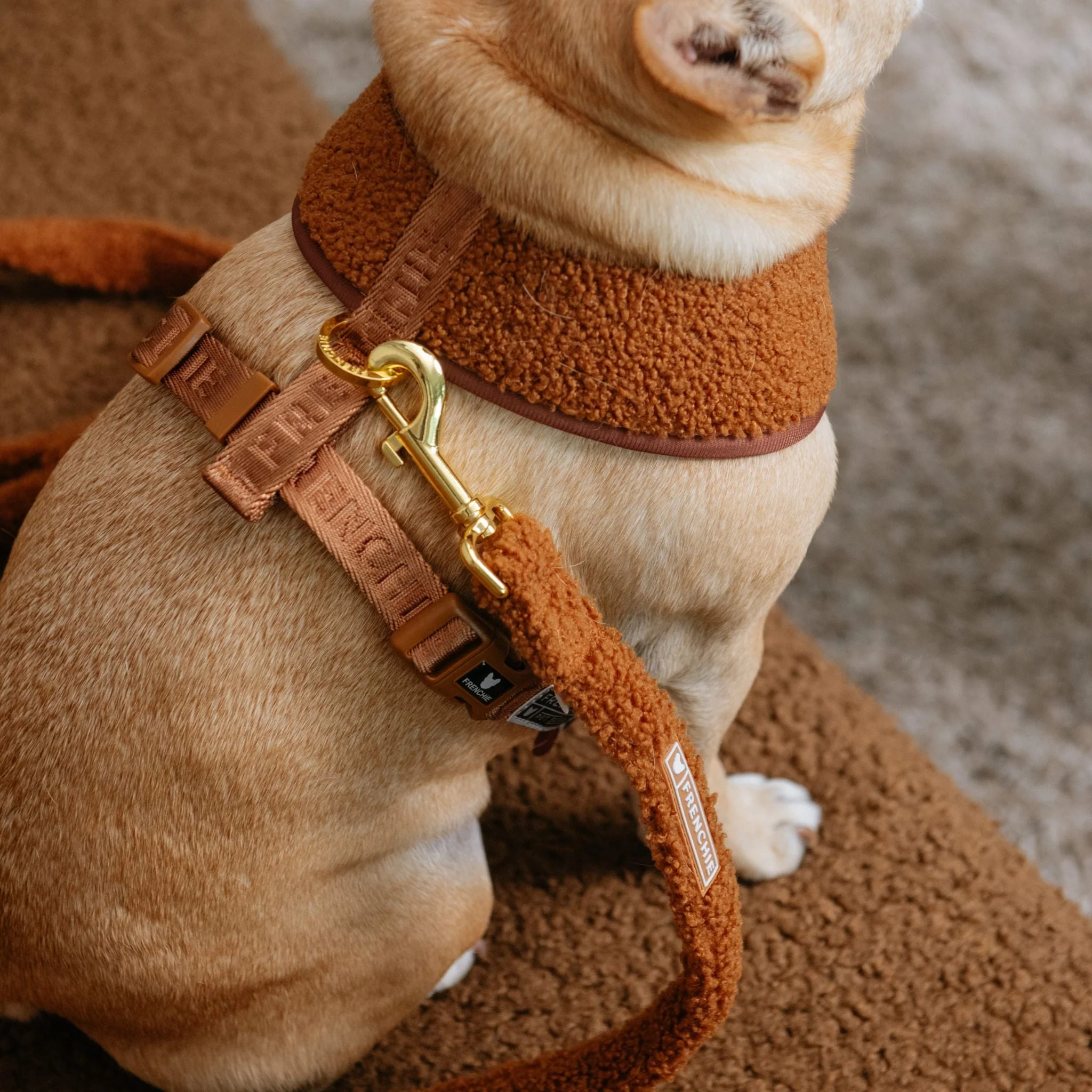 Frenchie Duo Reversible Harness - Teddy Brown - Image 8