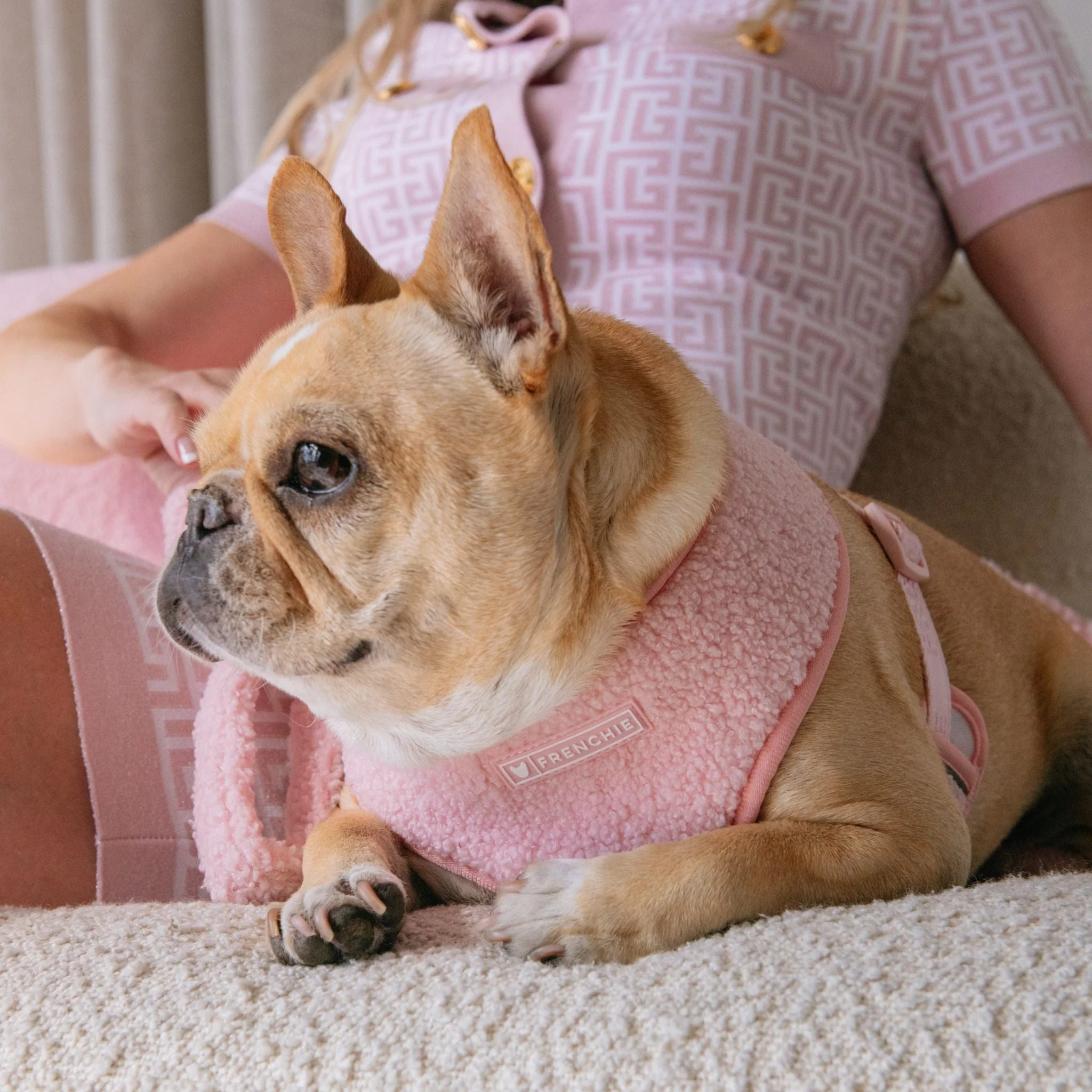 Frenchie Duo Reversible Harness - Teddy Pink - Image 10