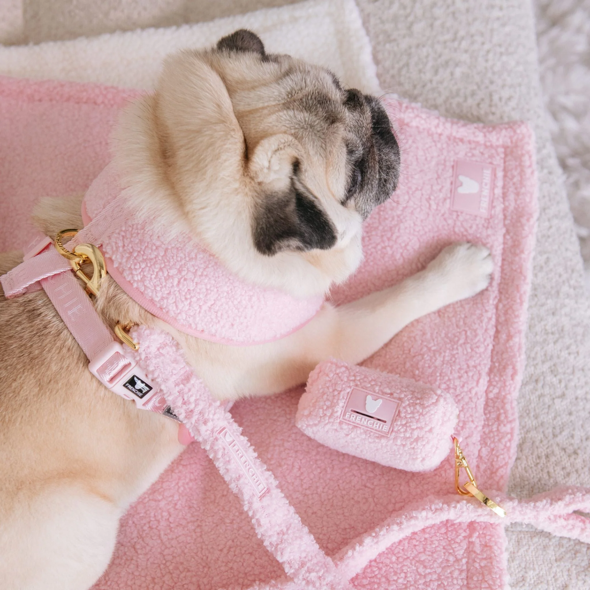 Frenchie Duo Reversible Harness - Teddy Pink - Image 11