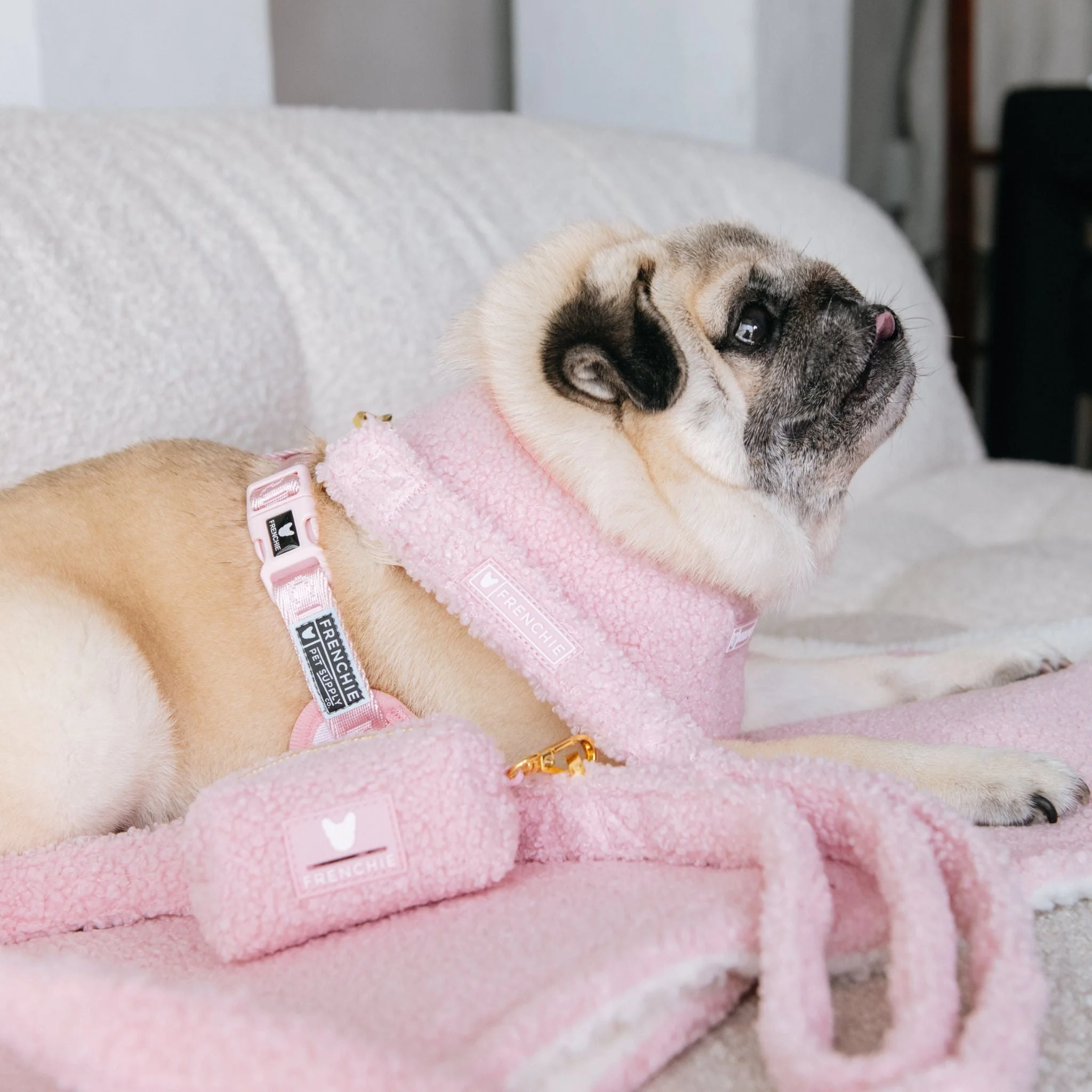 Frenchie Duo Reversible Harness - Teddy Pink - Image 14