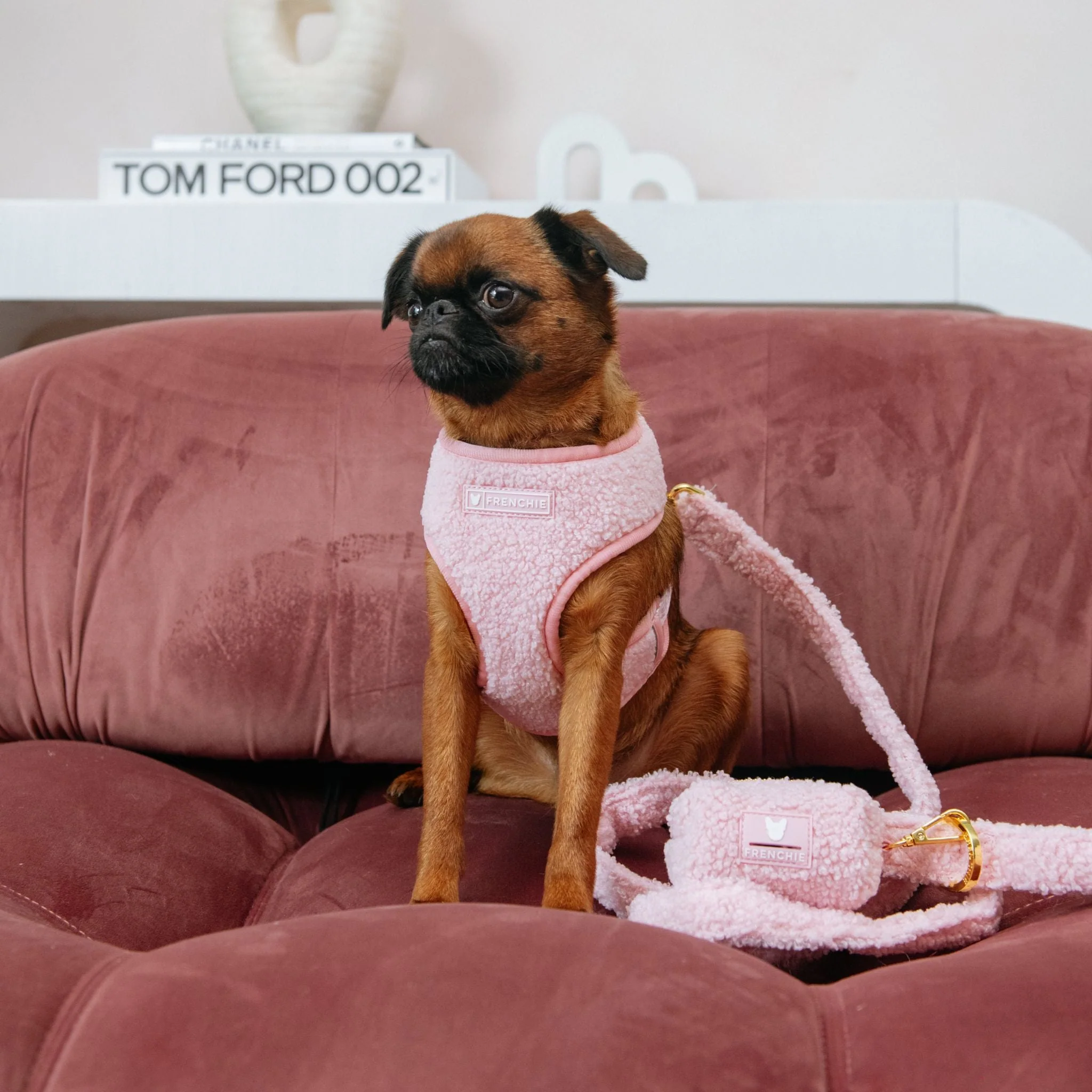 Frenchie Duo Reversible Harness - Teddy Pink - Image 3