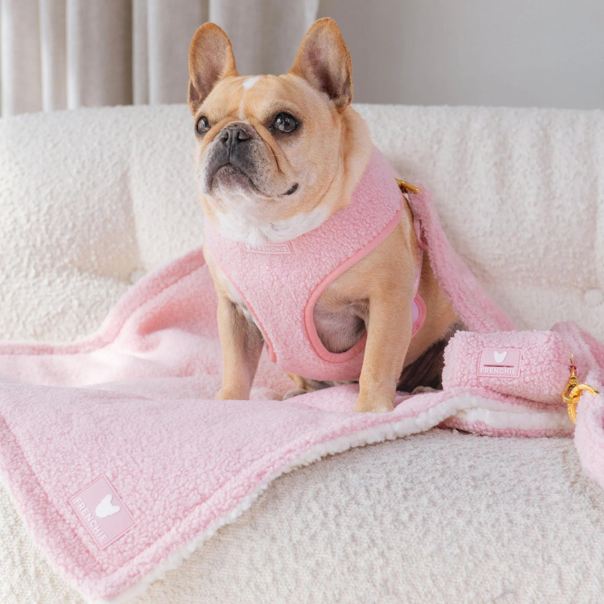 Frenchie Duo Reversible Harness - Teddy Pink - Image 9