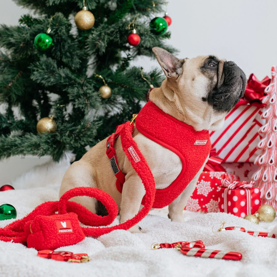 Frenchie Duo Reversible Harness - Teddy Red - Image 2