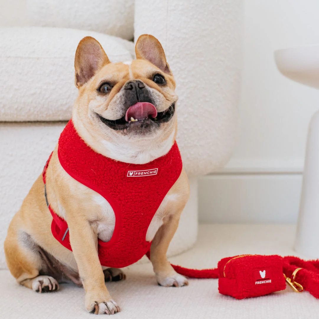 Frenchie Duo Reversible Harness - Teddy Red - Image 3