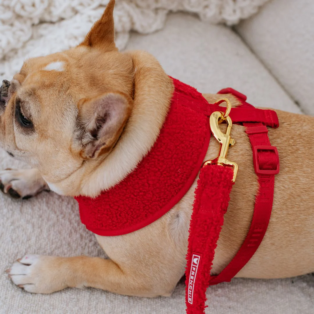 Frenchie Duo Reversible Harness - Teddy Red - Image 5
