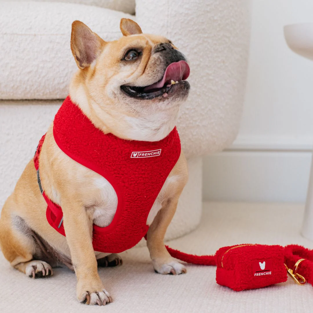 Frenchie Duo Reversible Harness - Teddy Red - Image 7